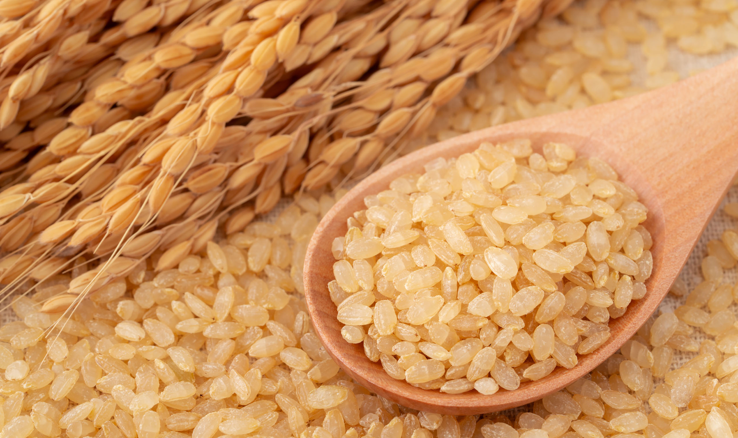 Why Brown Rice, a Traditional Japanese Food, is Ea…
